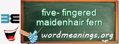 WordMeaning blackboard for five-fingered maidenhair fern